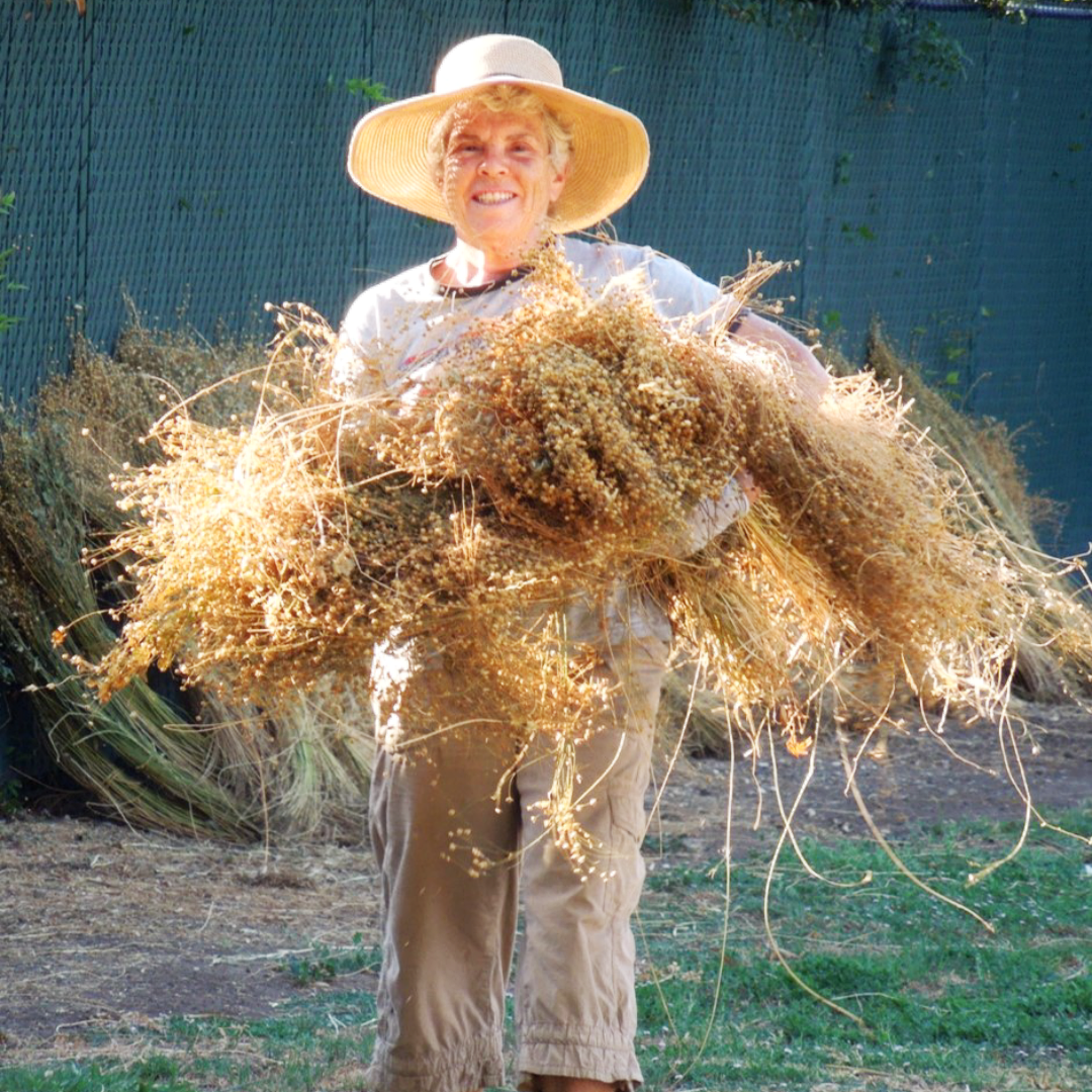Episode 41: Flax to Linen with Sandy Fisher of Chico Flax
