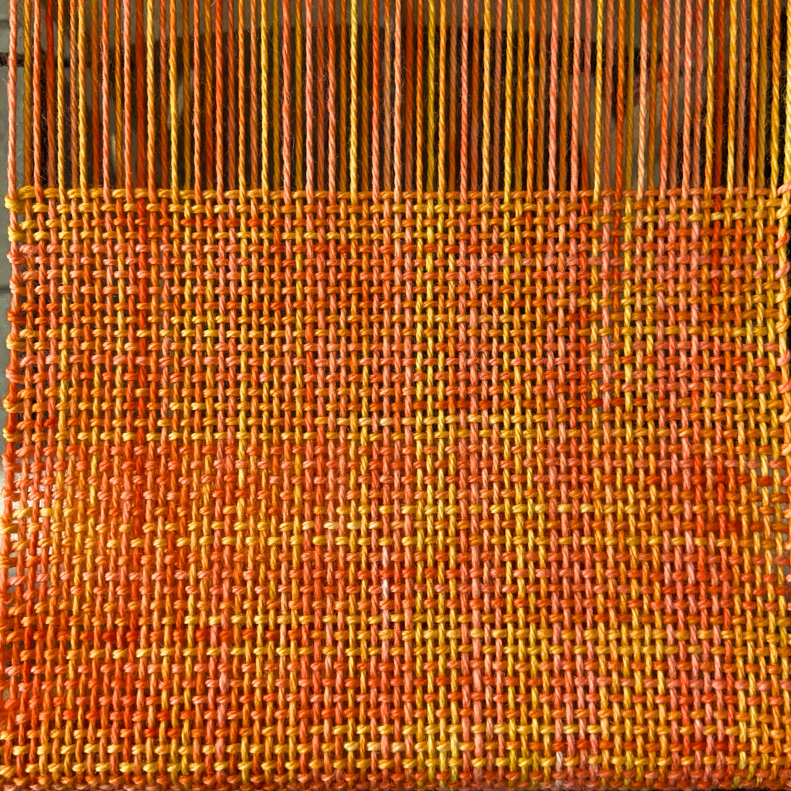 Following the Threads of Curiosity: An Interview with Steven Salazar