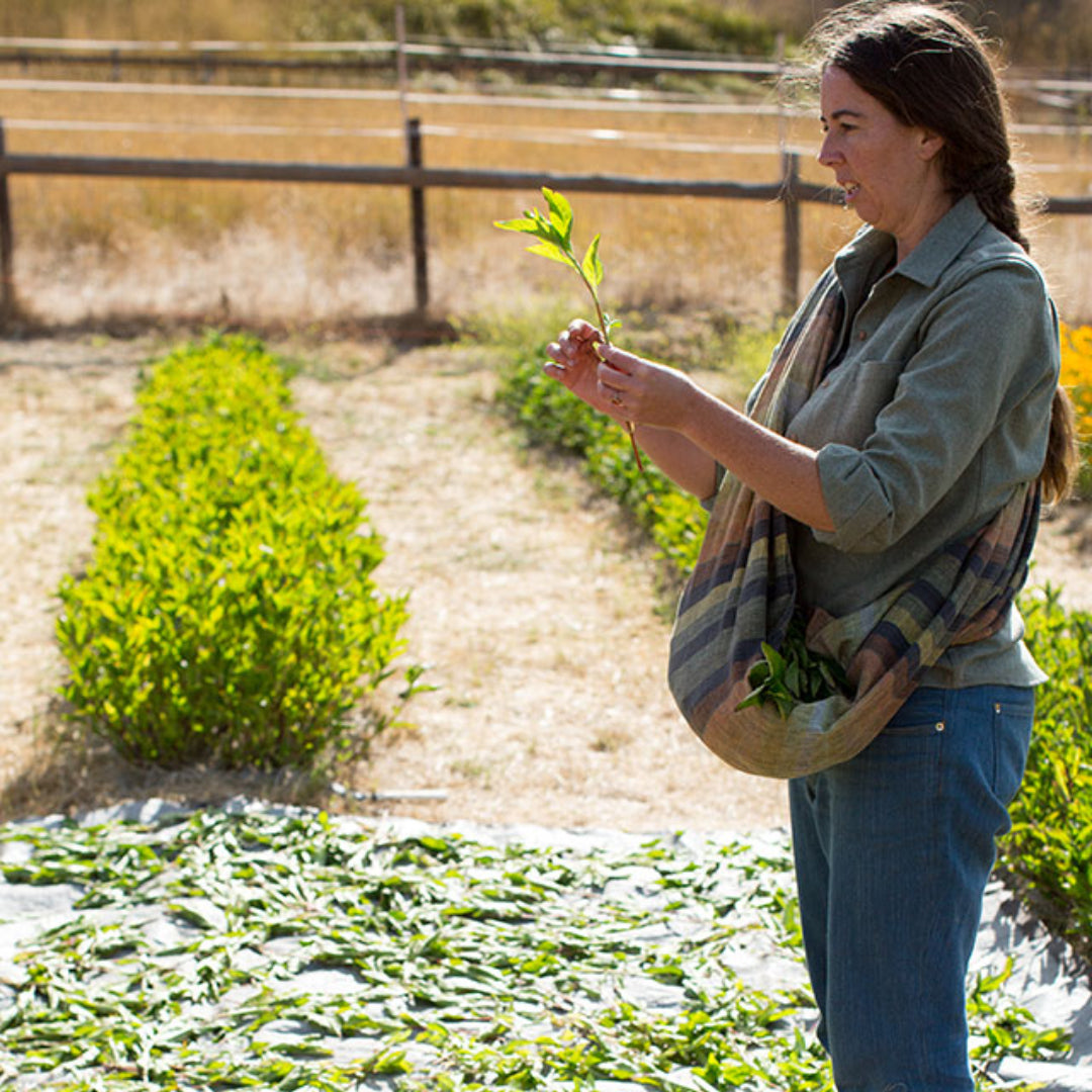 Episode 49: Climate Beneficial Textile Farming with Rebecca Burgess of Fibershed