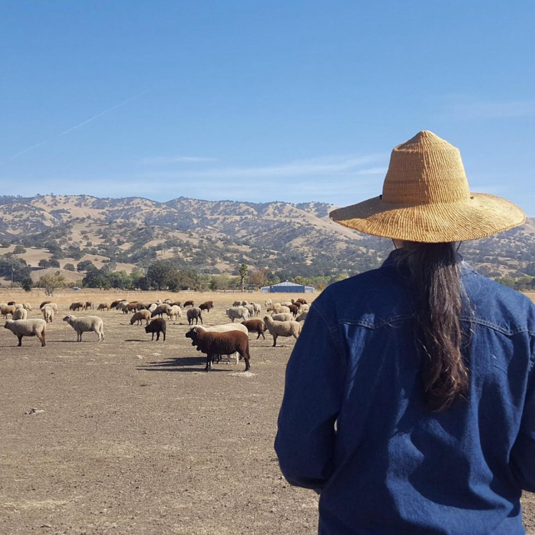 Episode 133: Regenerative Storytelling with Amy DuFault