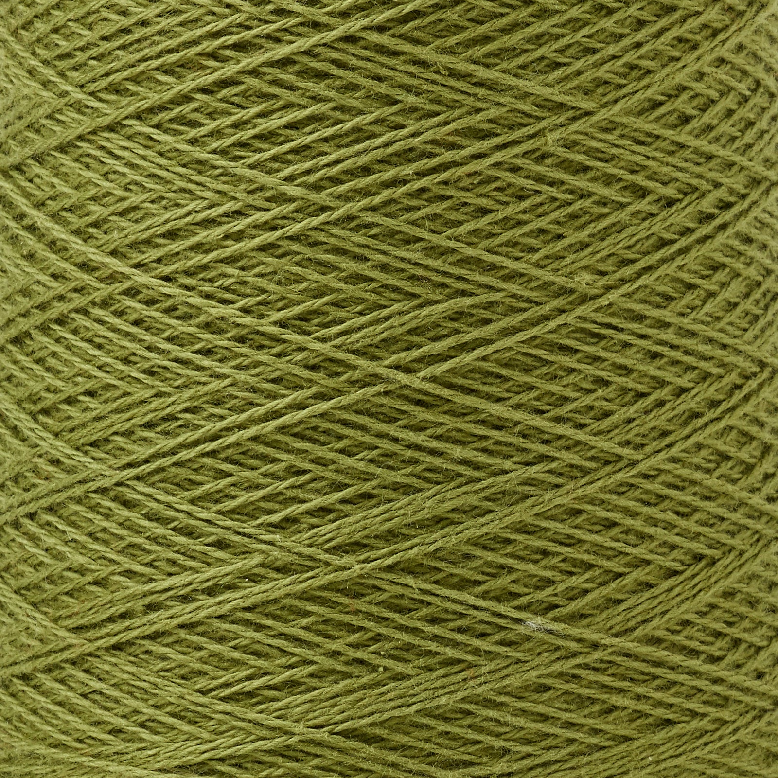 Beam 8/2 Weaving Yarn ~ Avocado, bundle_swatch