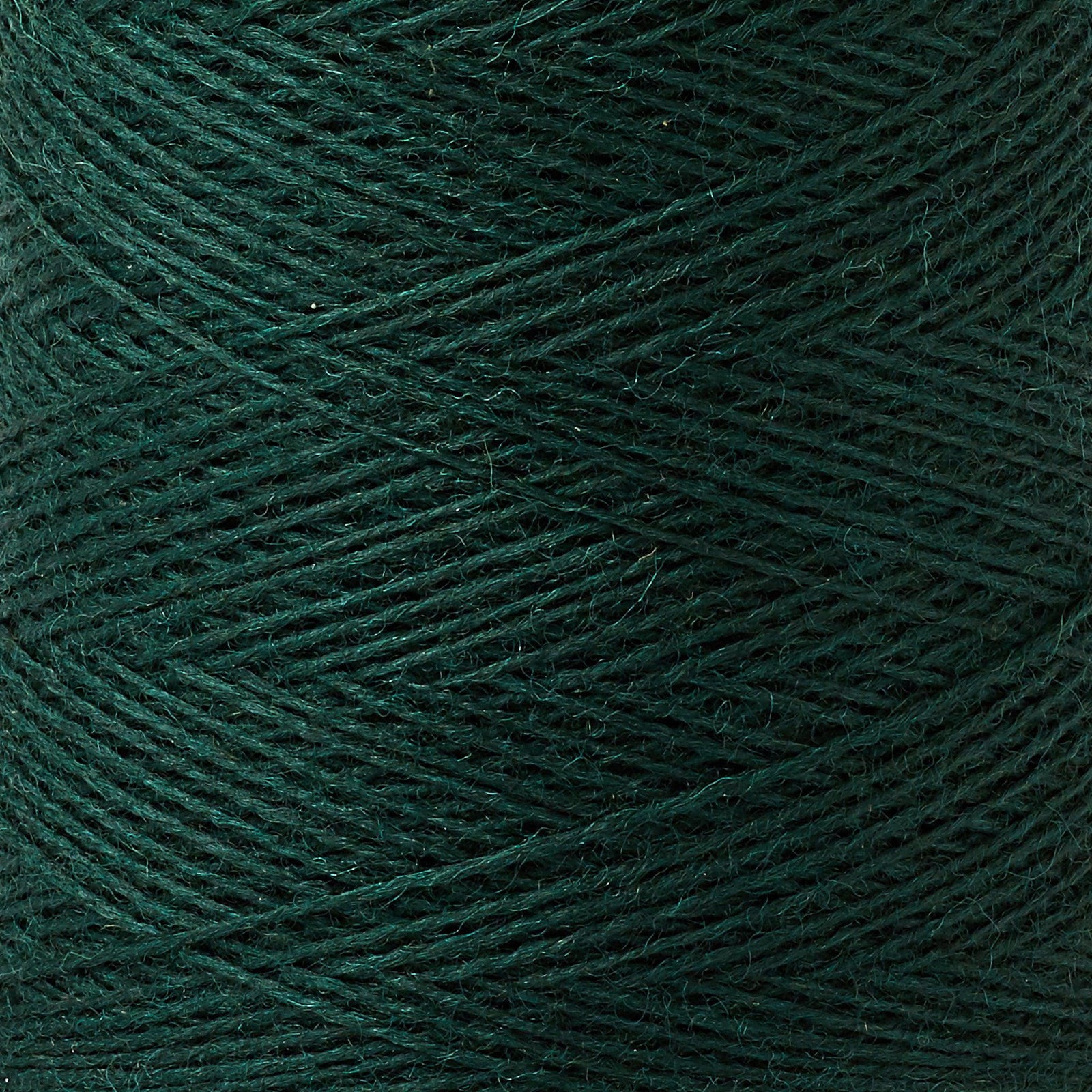 Array Wool Yarn ~ Forest
