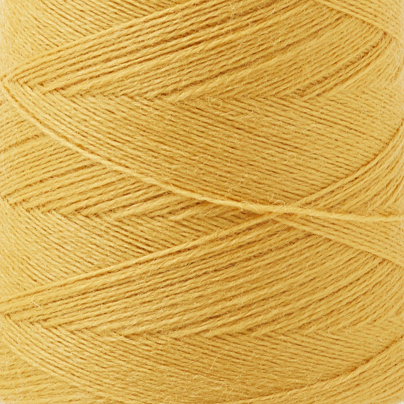Array Wool Yarn ~ Marigold