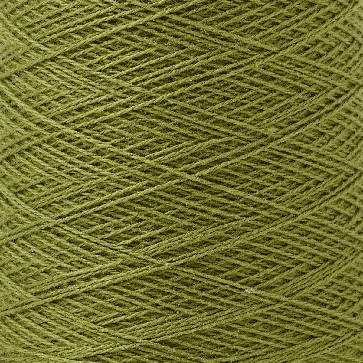 Beam 8/2 Weaving Yarn ~ Avocado, bundle_swatch