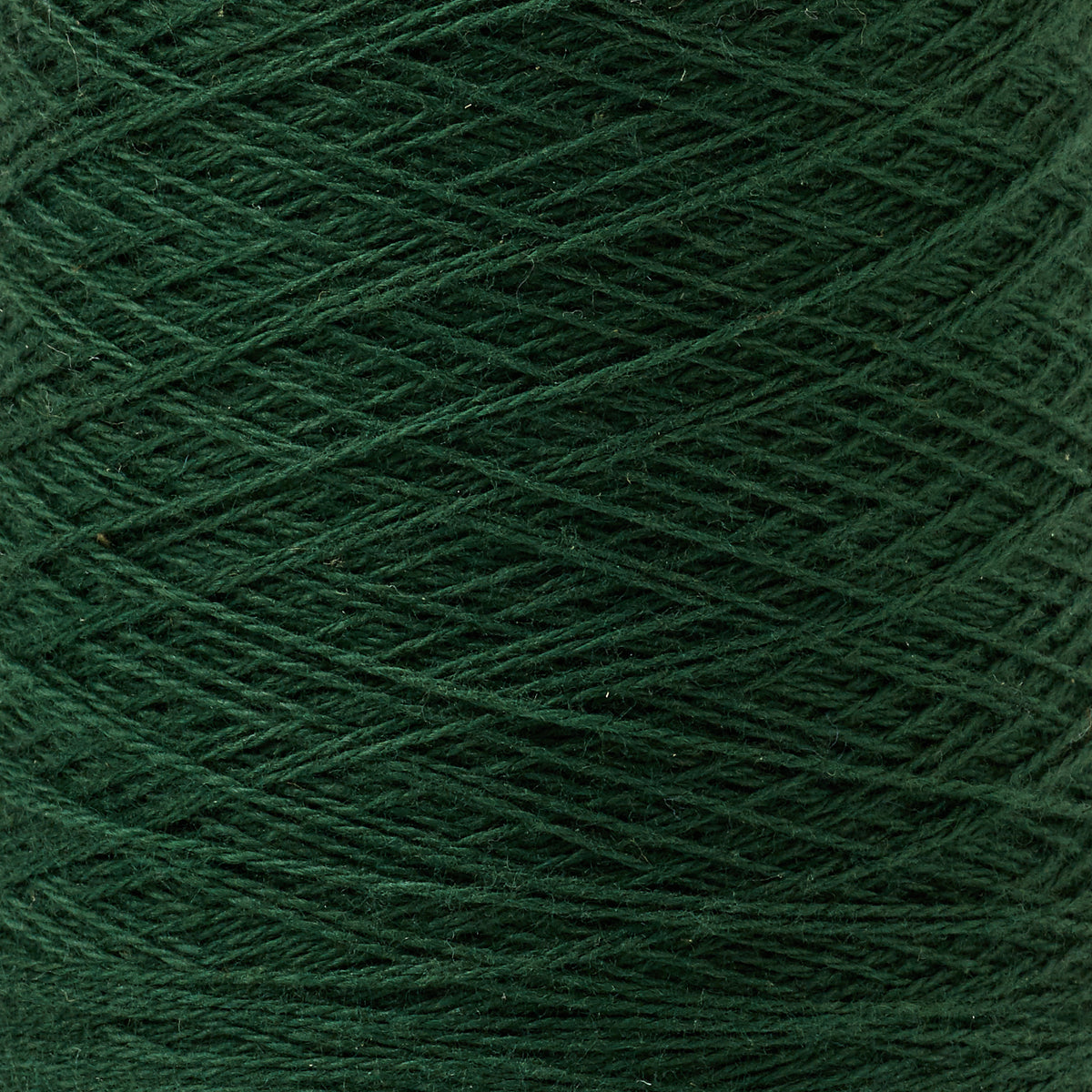 Beam 8/2 Weaving Yarn ~ Evergreen, bundle_swatch