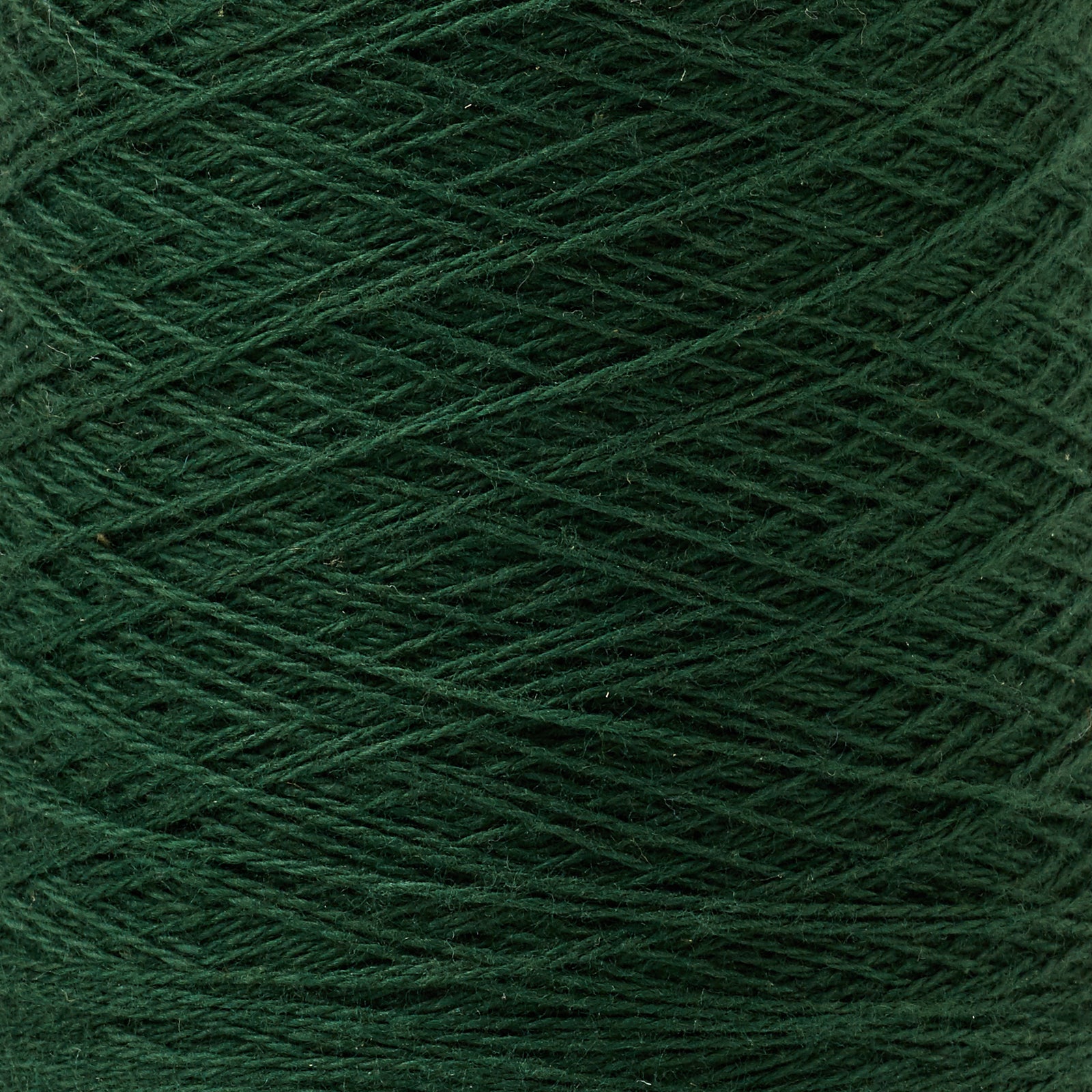 Beam 8/2 Weaving Yarn ~ Evergreen, bundle_swatch