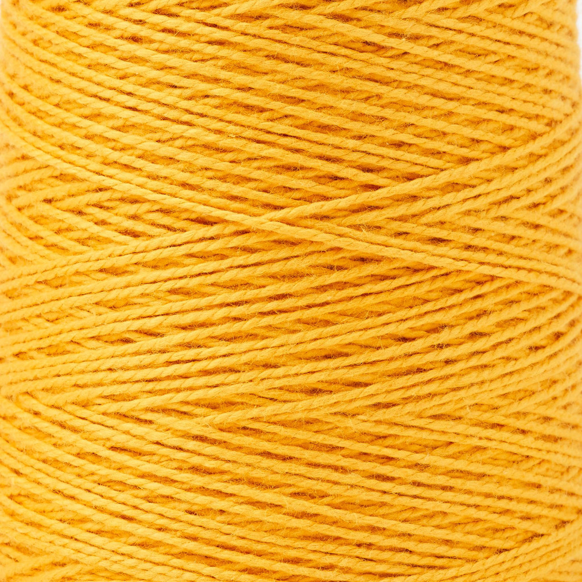 Beam 3/2 Organic Cotton Weaving Yarn ~ Dandelion, bundle_swatch