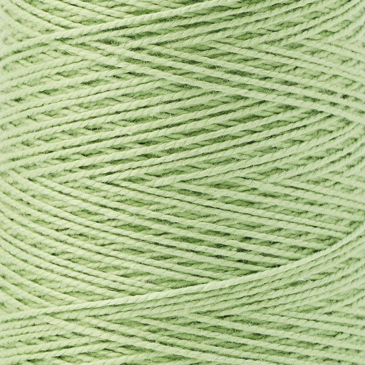 Beam 3/2 Organic Cotton Weaving Yarn ~ Pistachio, bundle_swatch