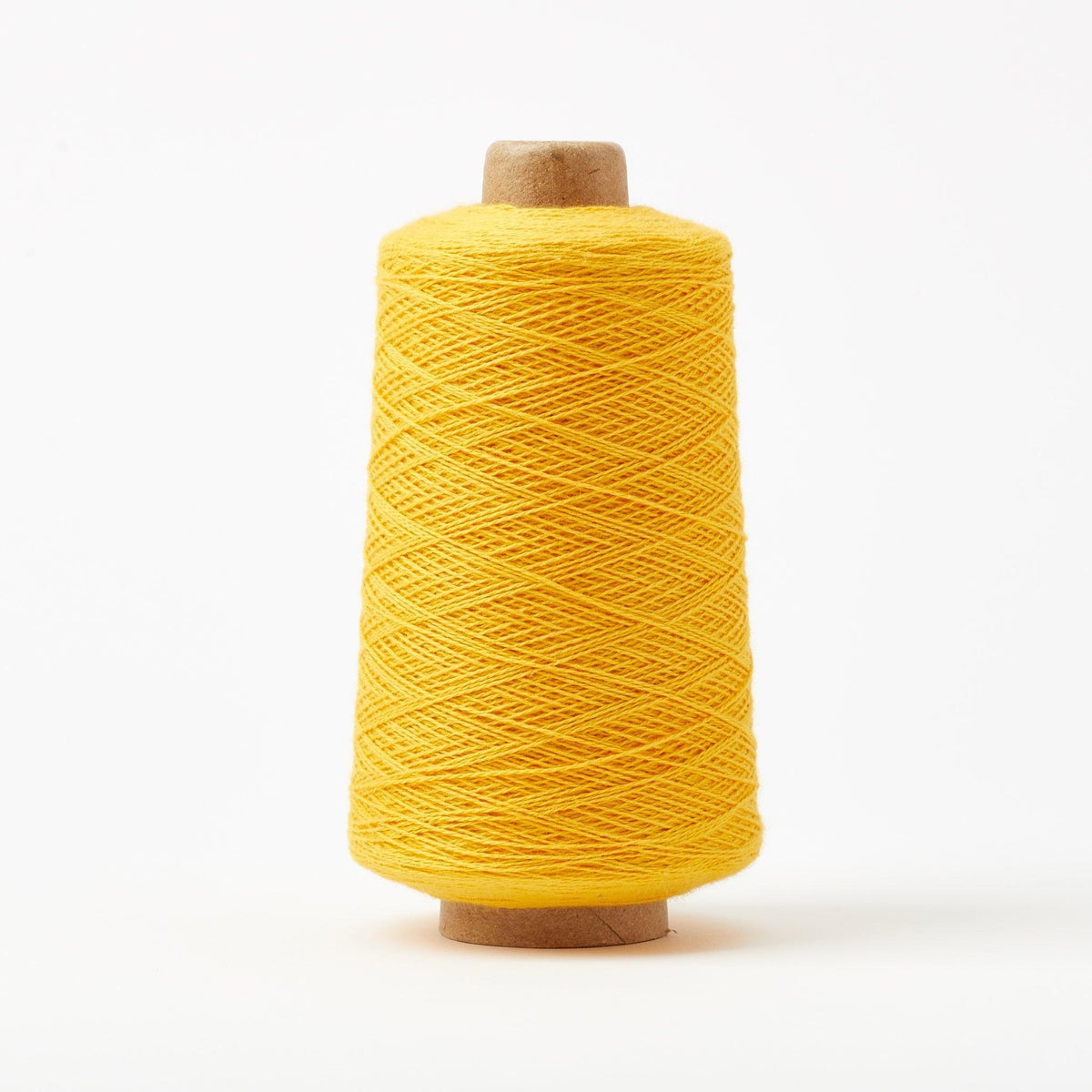 Beam 8/2 Organic Cotton Weaving Yarn ~ Dandelion