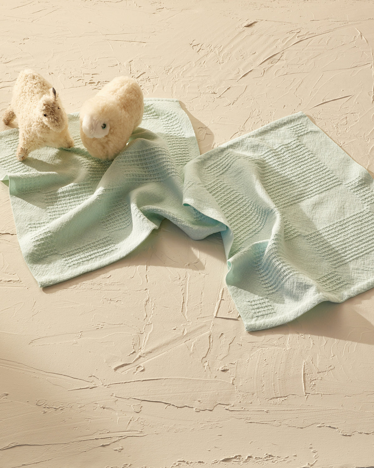 Name Draft Cuddle Blankets