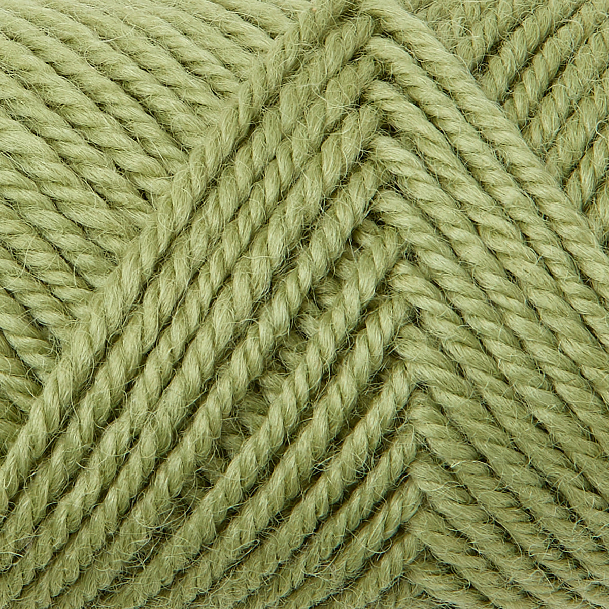 Dwella Rug Wool ~ Sprout Detail, bundle_swatch