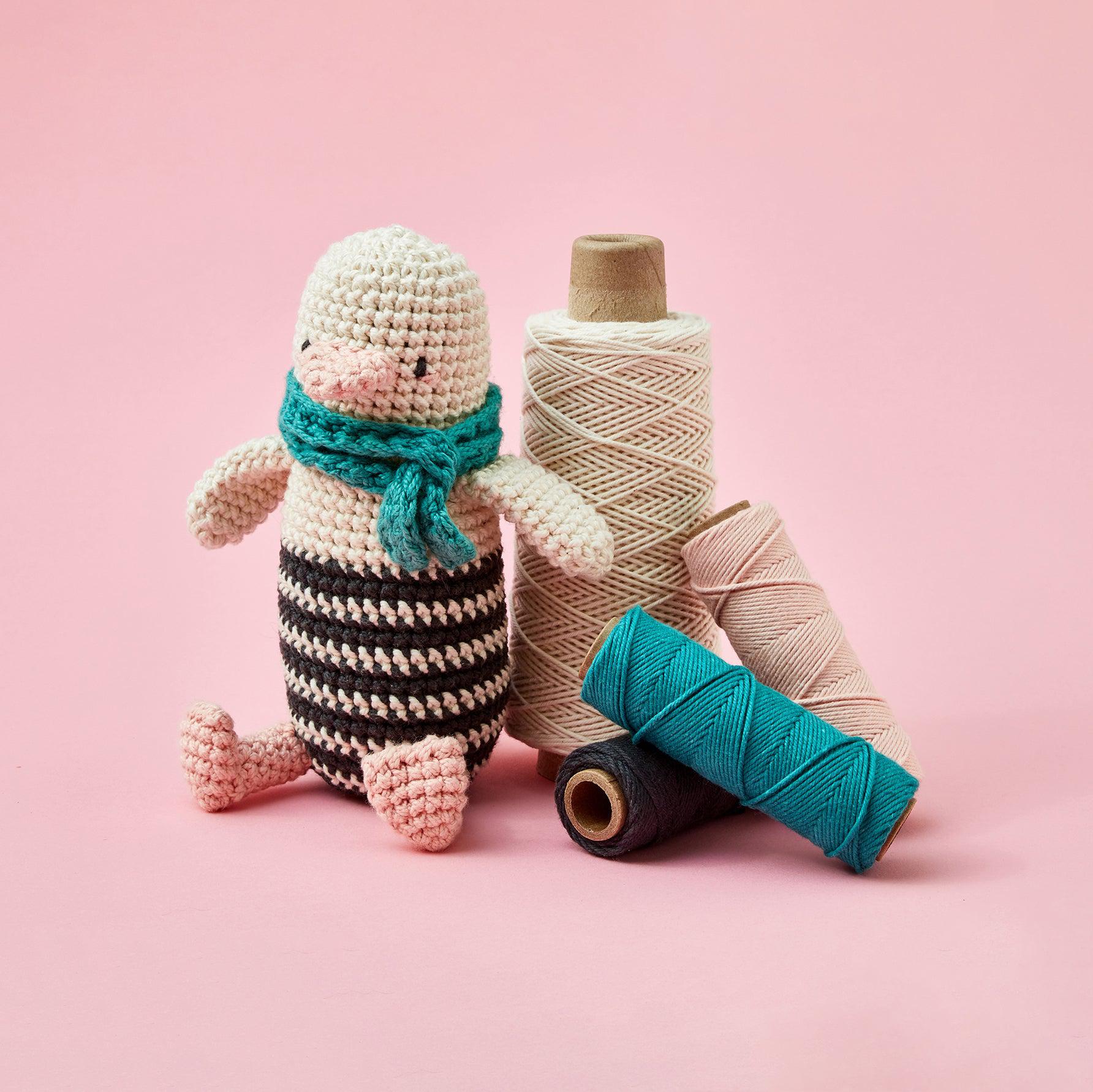 Crochet Kit for Beginners Adults and Kids - Make Amigurumi and Crochet