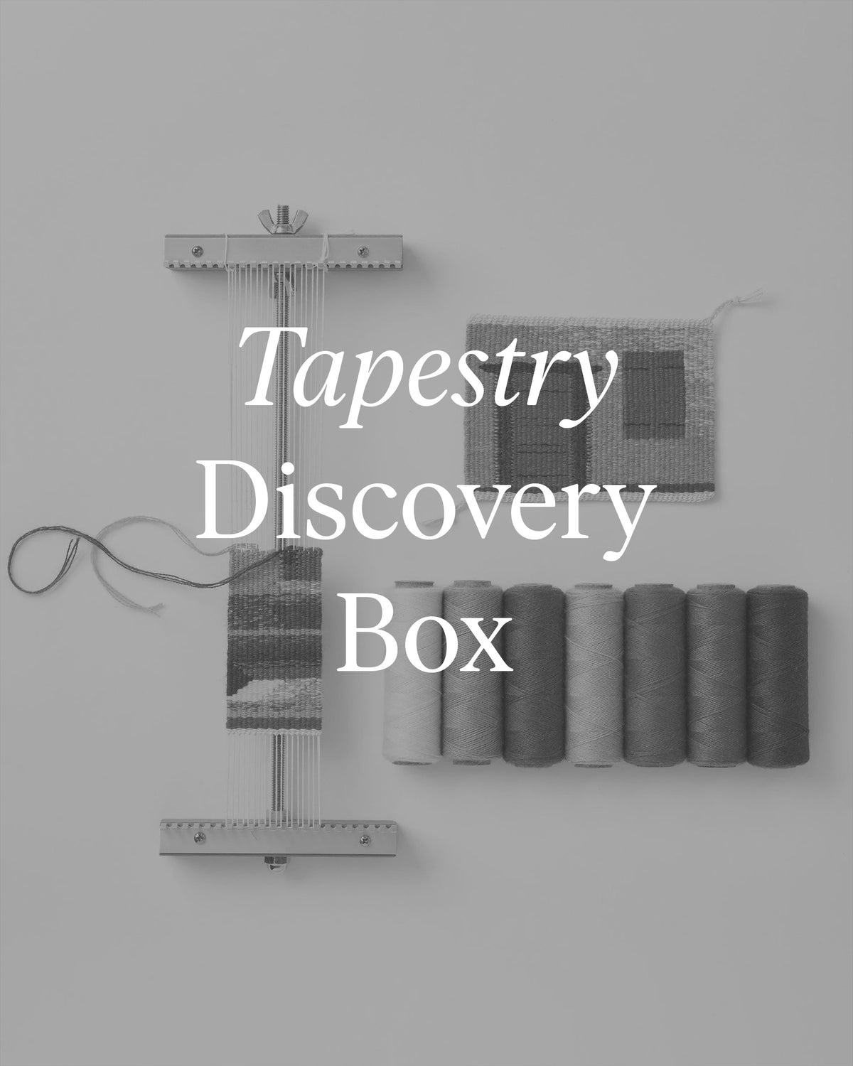 Tapestry Discovery Subscription Box - a collaboration between Gist Yarn and Rebecca Mezoff