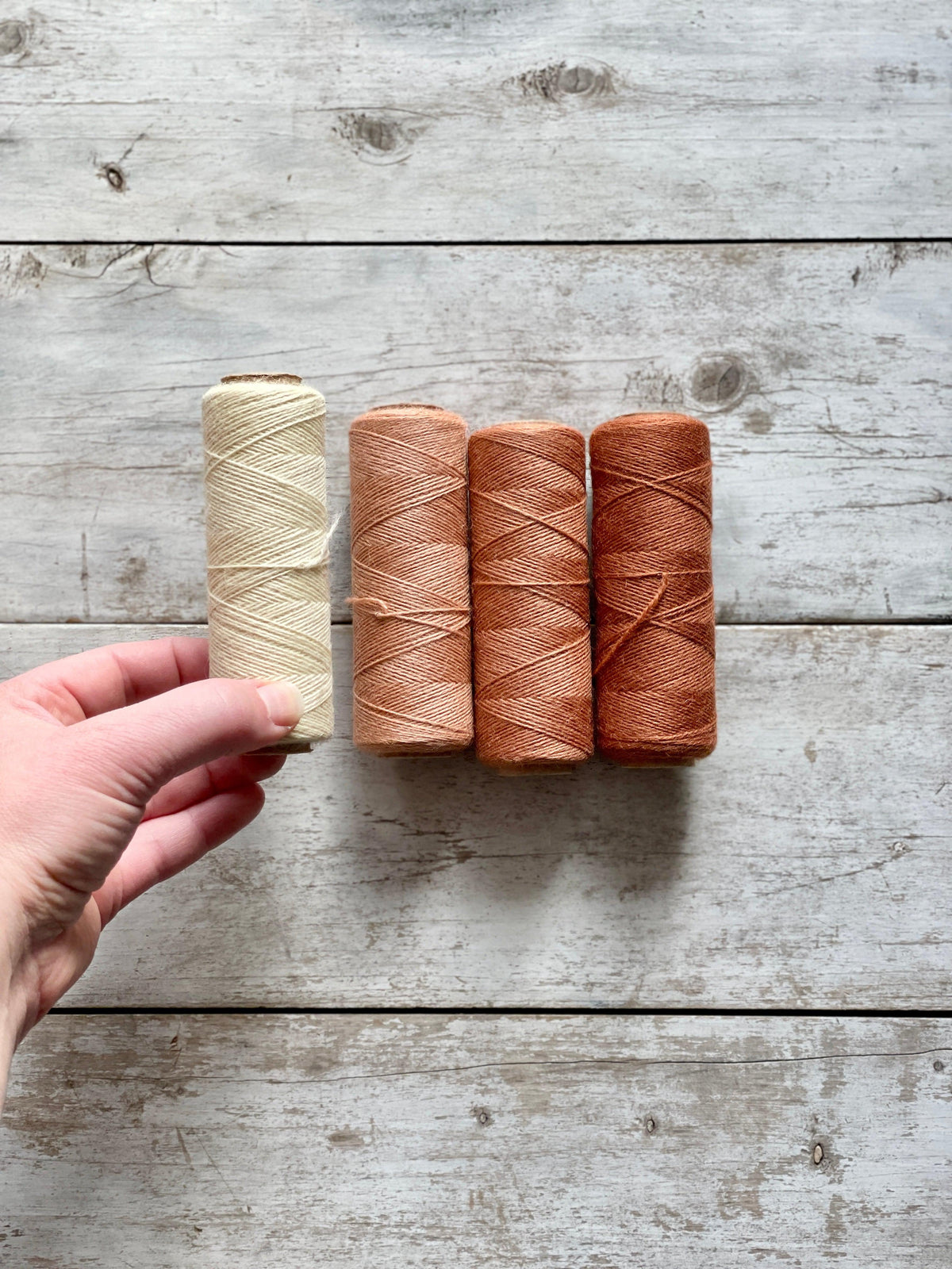 Tapestry Gradient Kit with Emily Wick