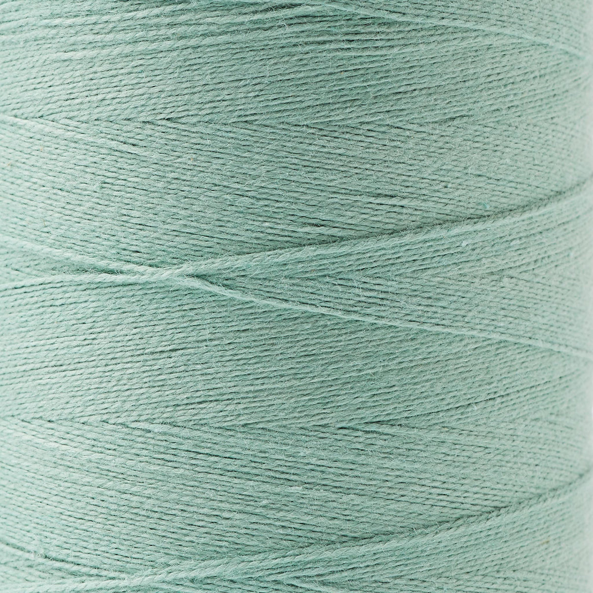 8/2 Un-Mercerized Brassard Cotton Weaving Yarn ~ Sage