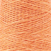 Duet Cotton / Linen Weaving Yarn ~ Apricot