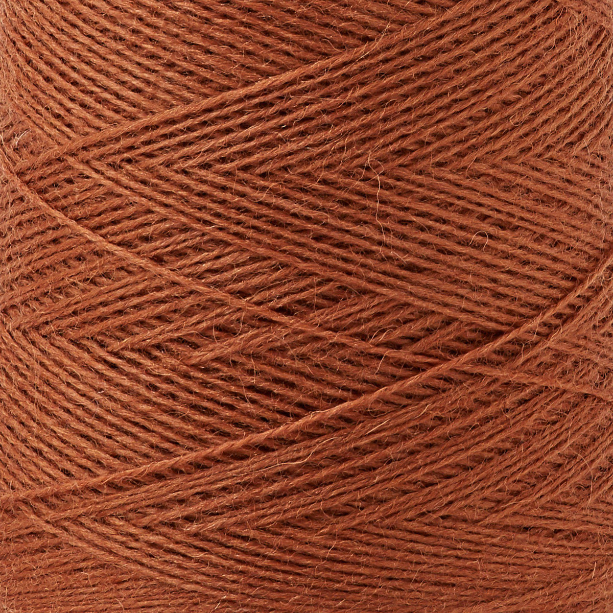 Array Wool Yarn ~ Cinnamon