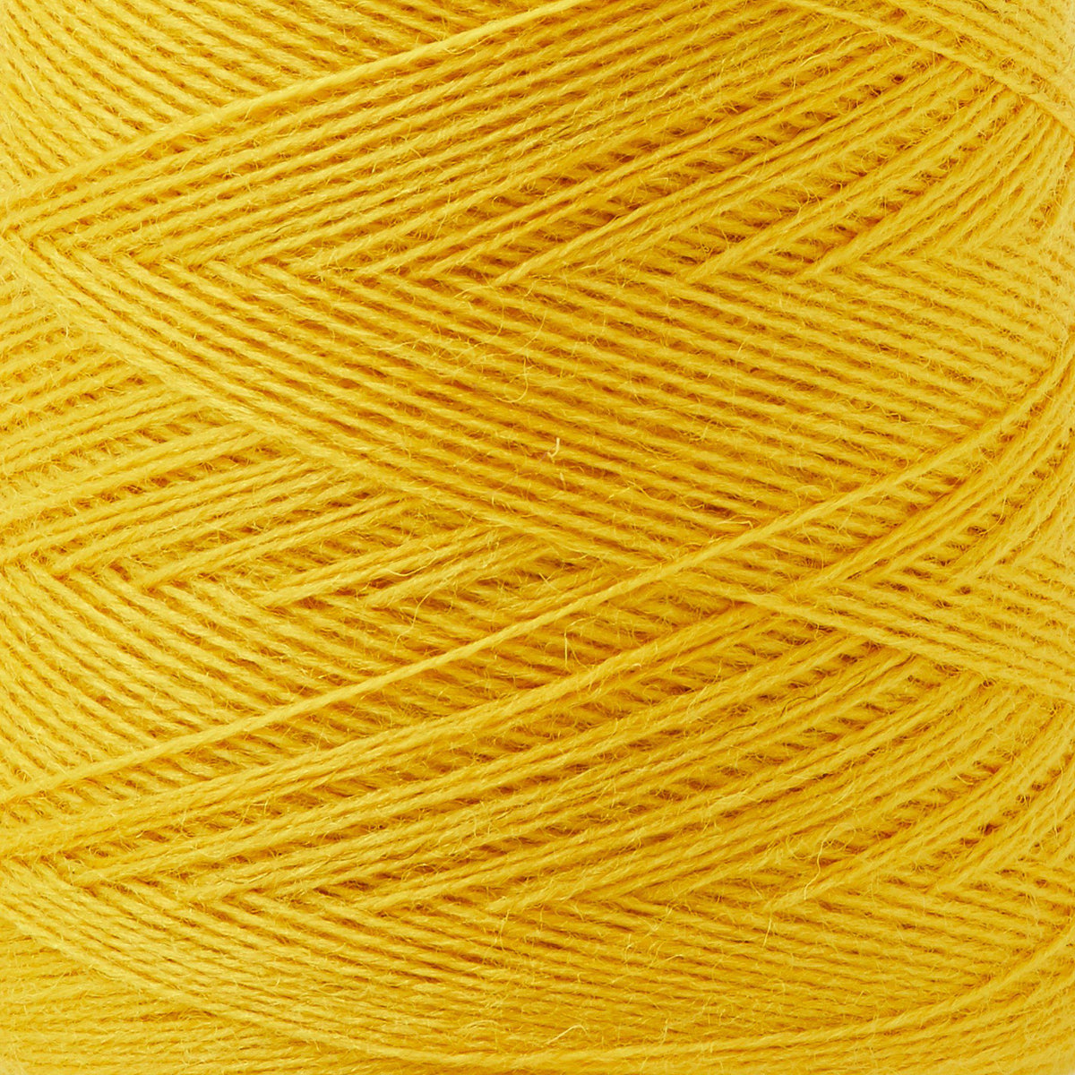 Array Wool Yarn ~ Daffodil