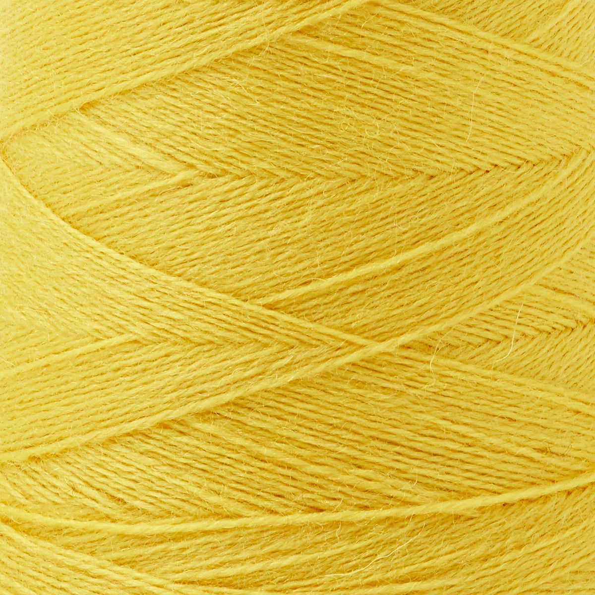 Array Wool Yarn ~ Daffodil