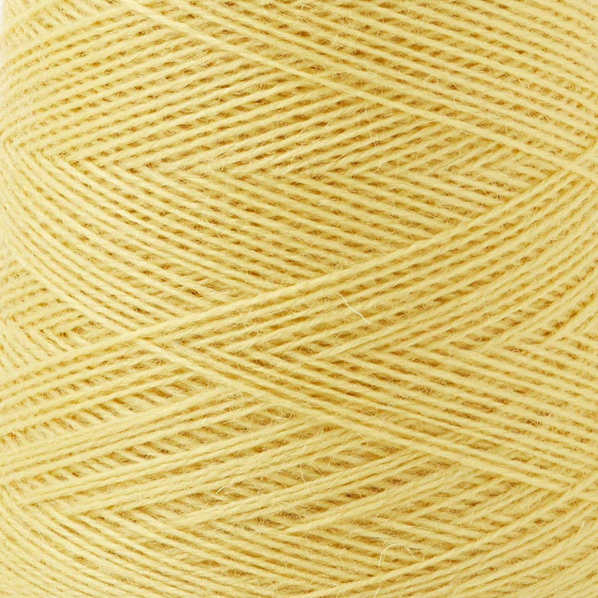 Array Wool Yarn ~ Daffodil