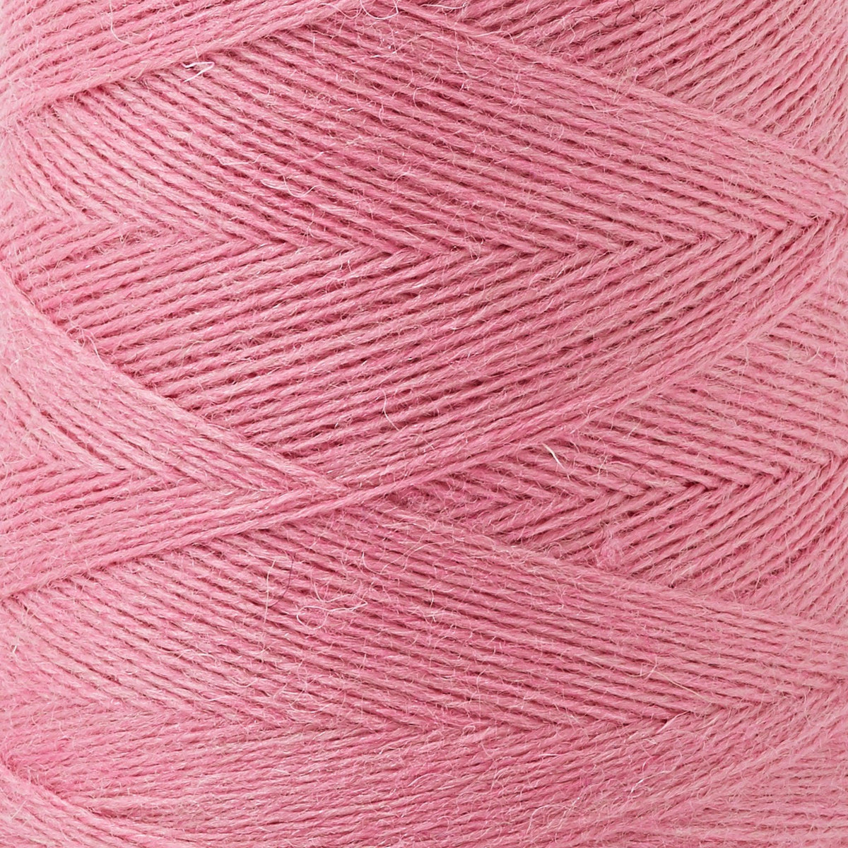 Array Wool Yarn ~ Flamingo