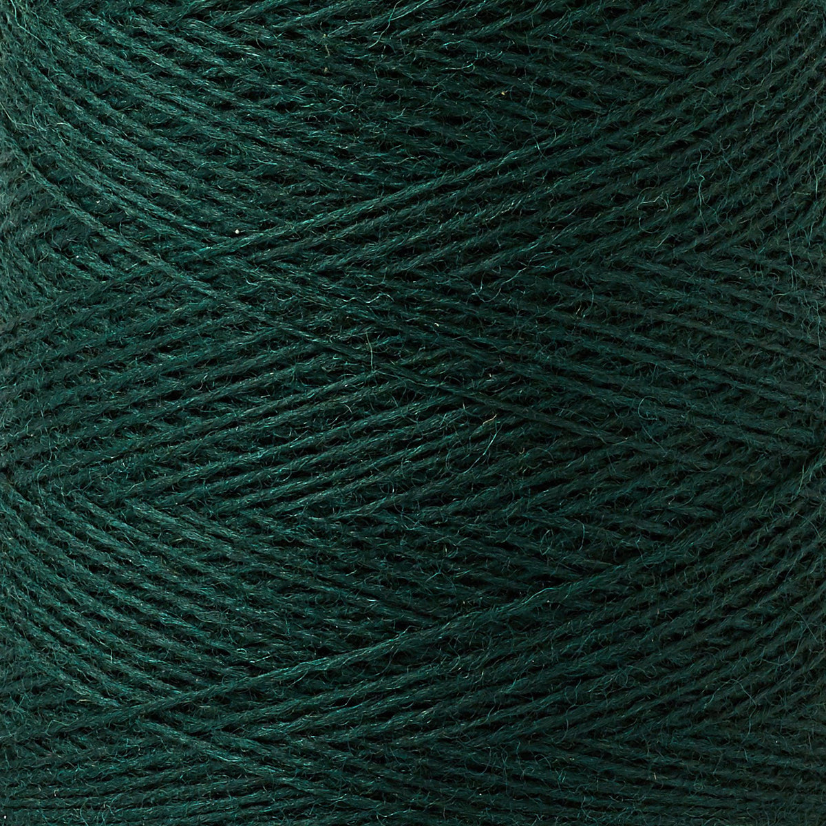 Array Wool Yarn ~ Forest