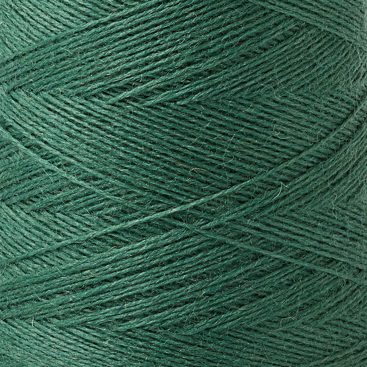 Array Wool Yarn ~ Forest