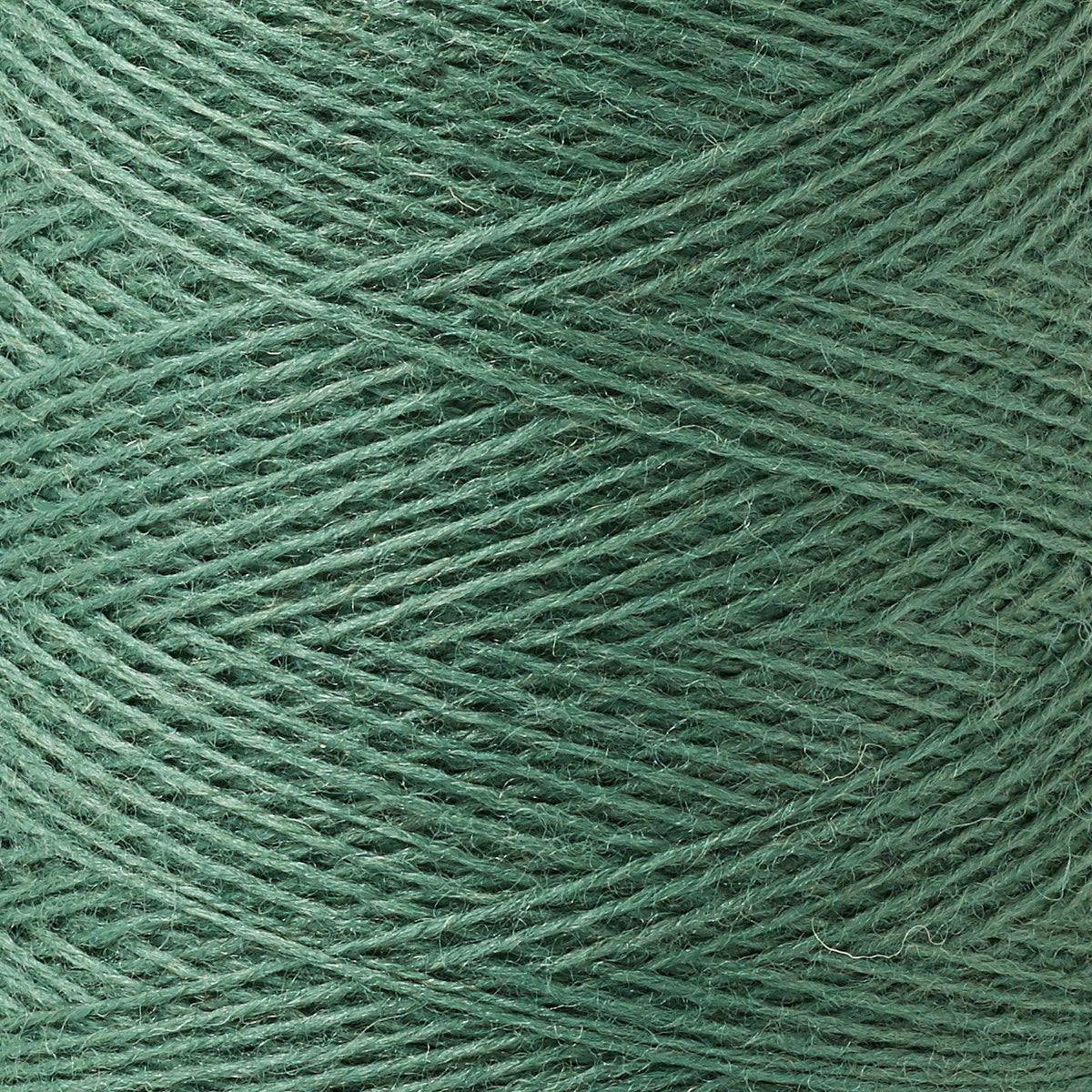 Array Wool Yarn ~ Forest