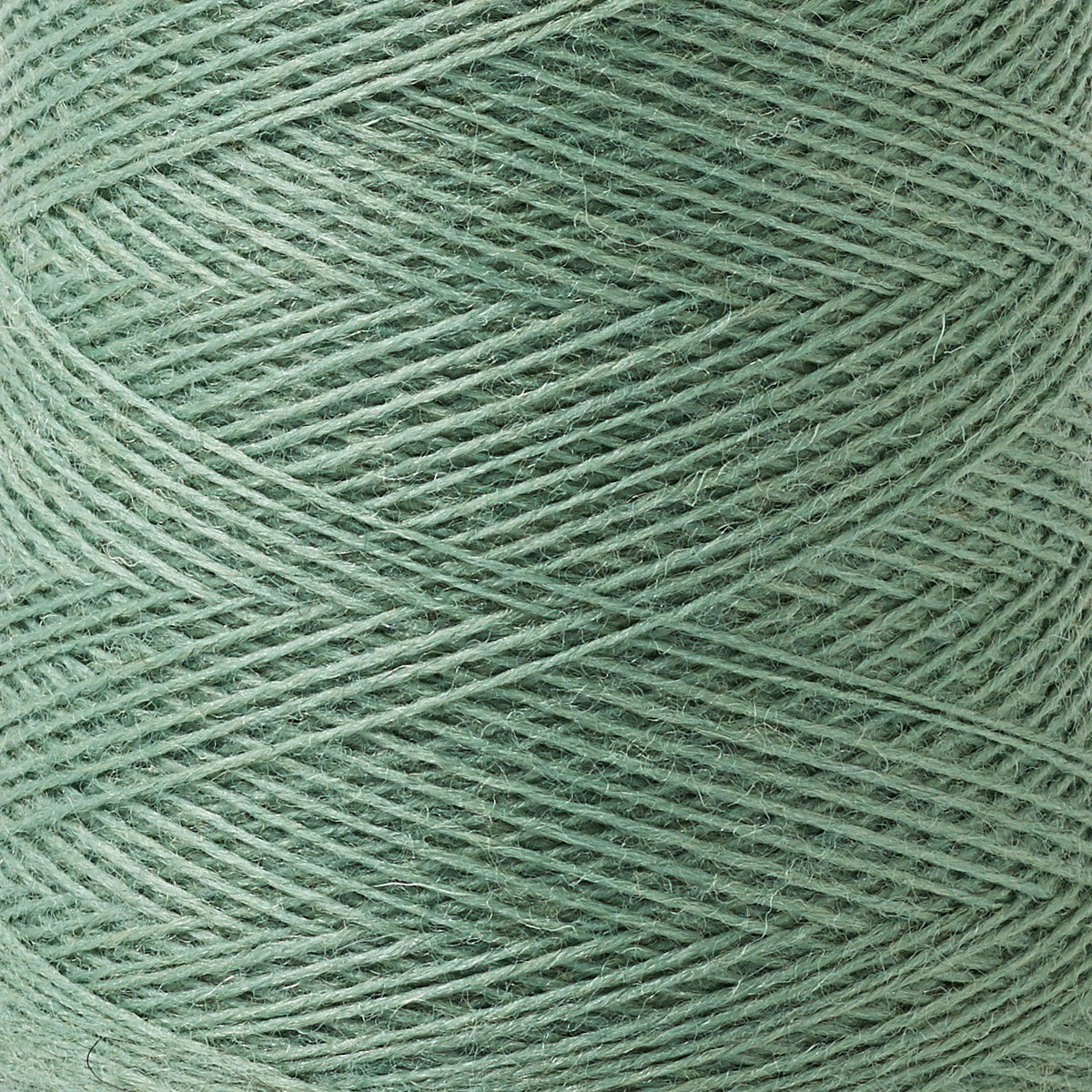 Array Wool Yarn ~ Forest