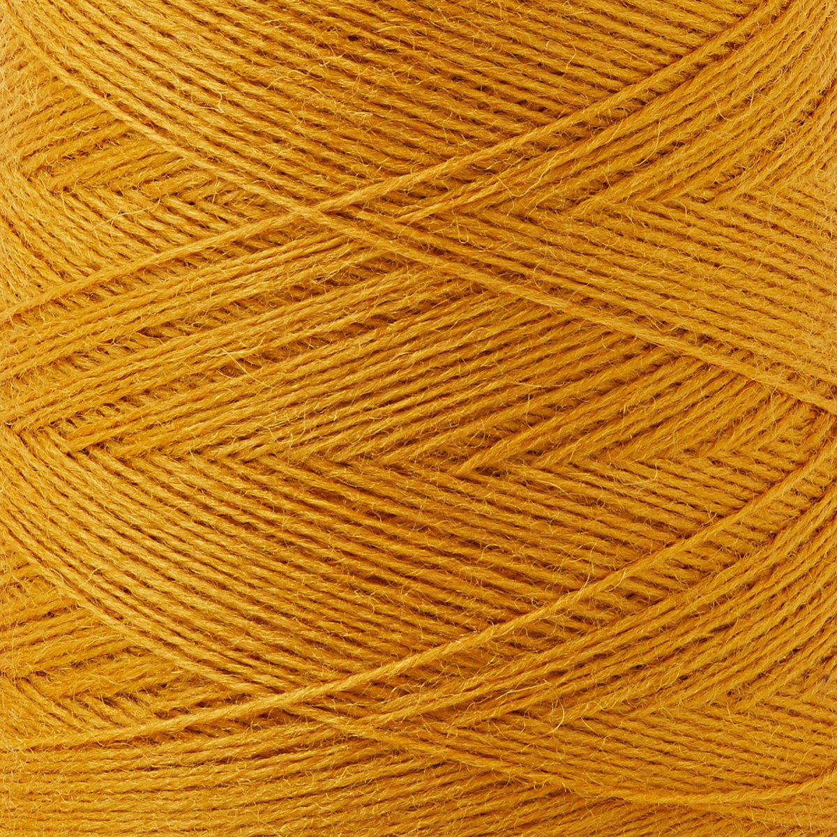 Array Wool Yarn ~ Marigold