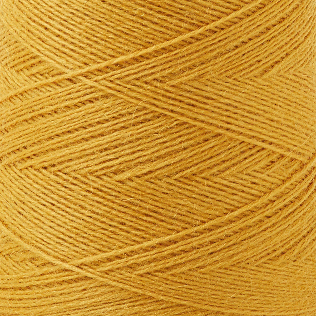 Array Wool Yarn ~ Marigold