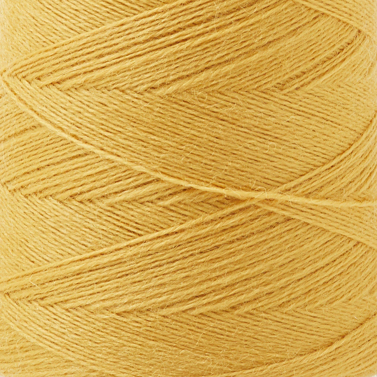 Array Wool Yarn ~ Marigold