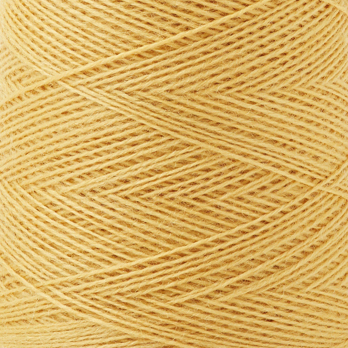 Array Wool Yarn ~ Marigold