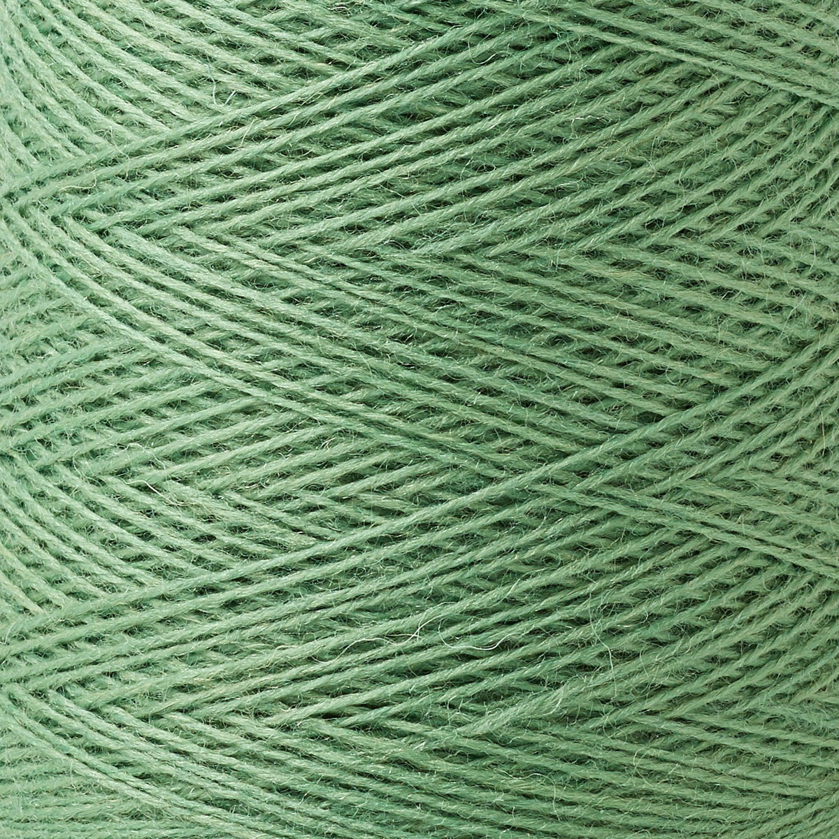 Array Wool Yarn ~ Meadow