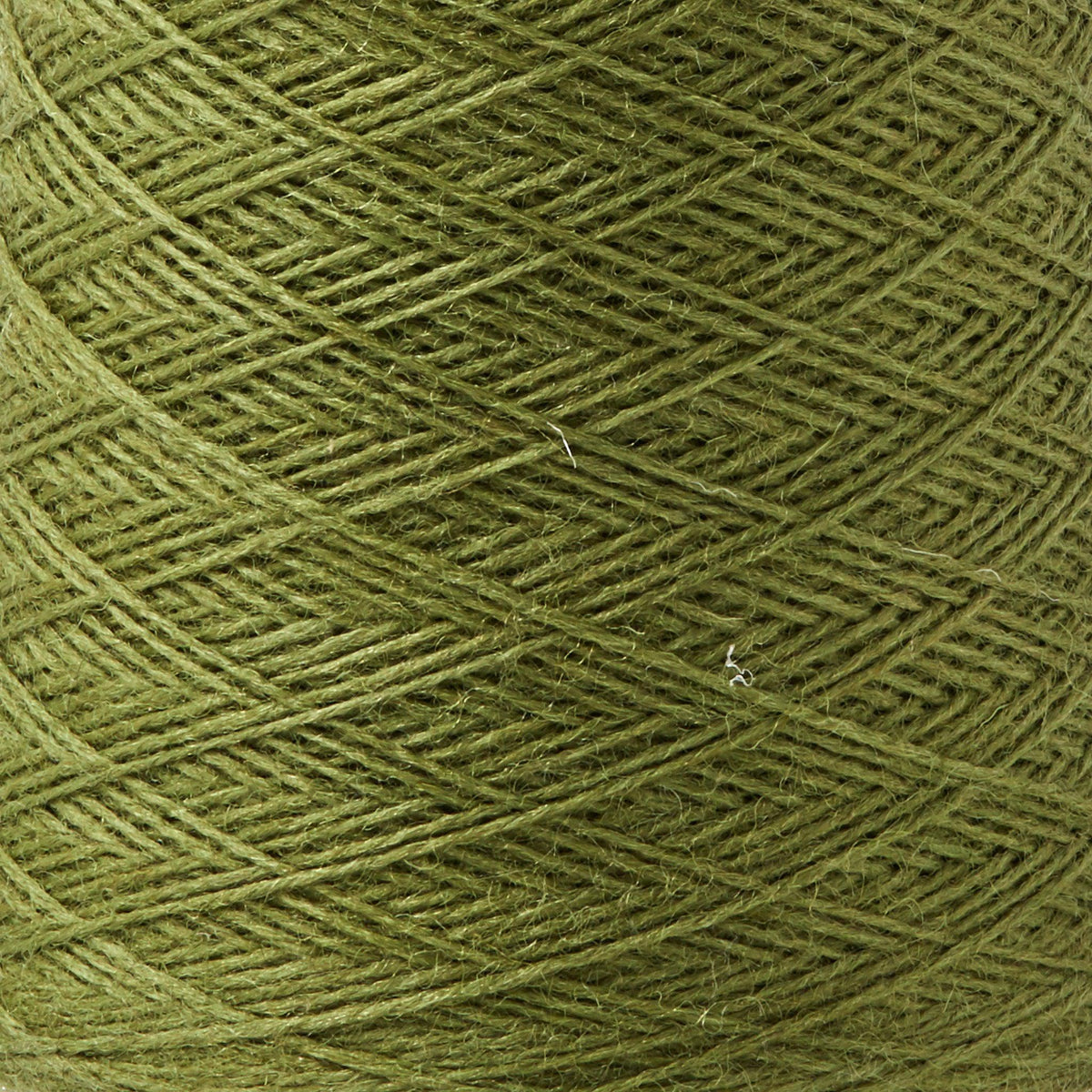 Array Wool Yarn ~ Olive
