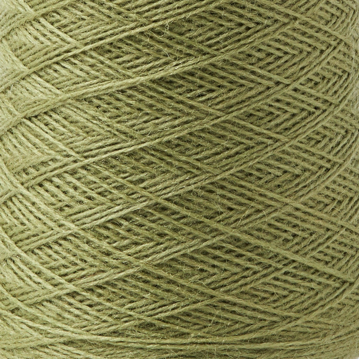 Array Wool Yarn ~ Olive