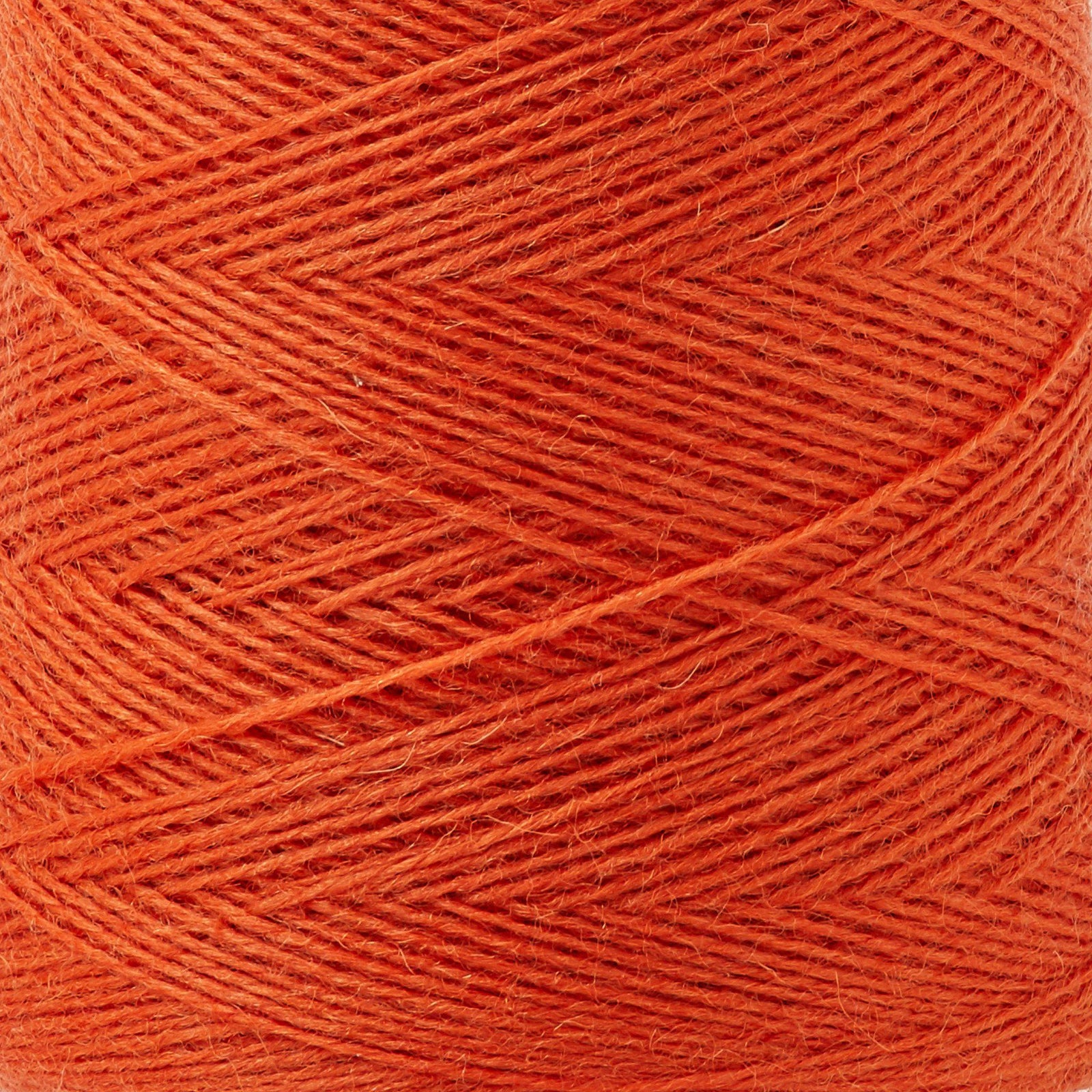 Array Wool Yarn ~ Tangerine