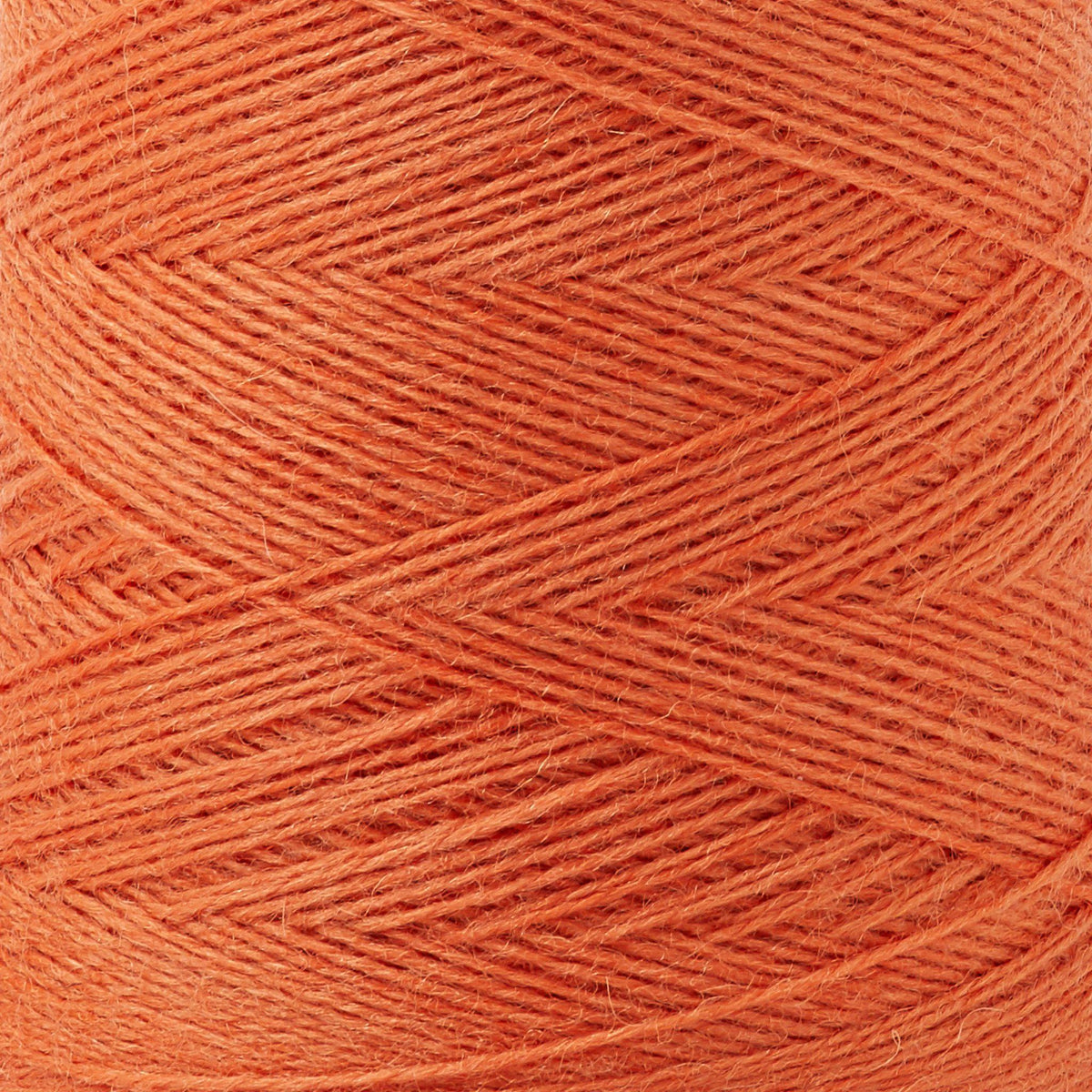 Array Wool Yarn ~ Tangerine